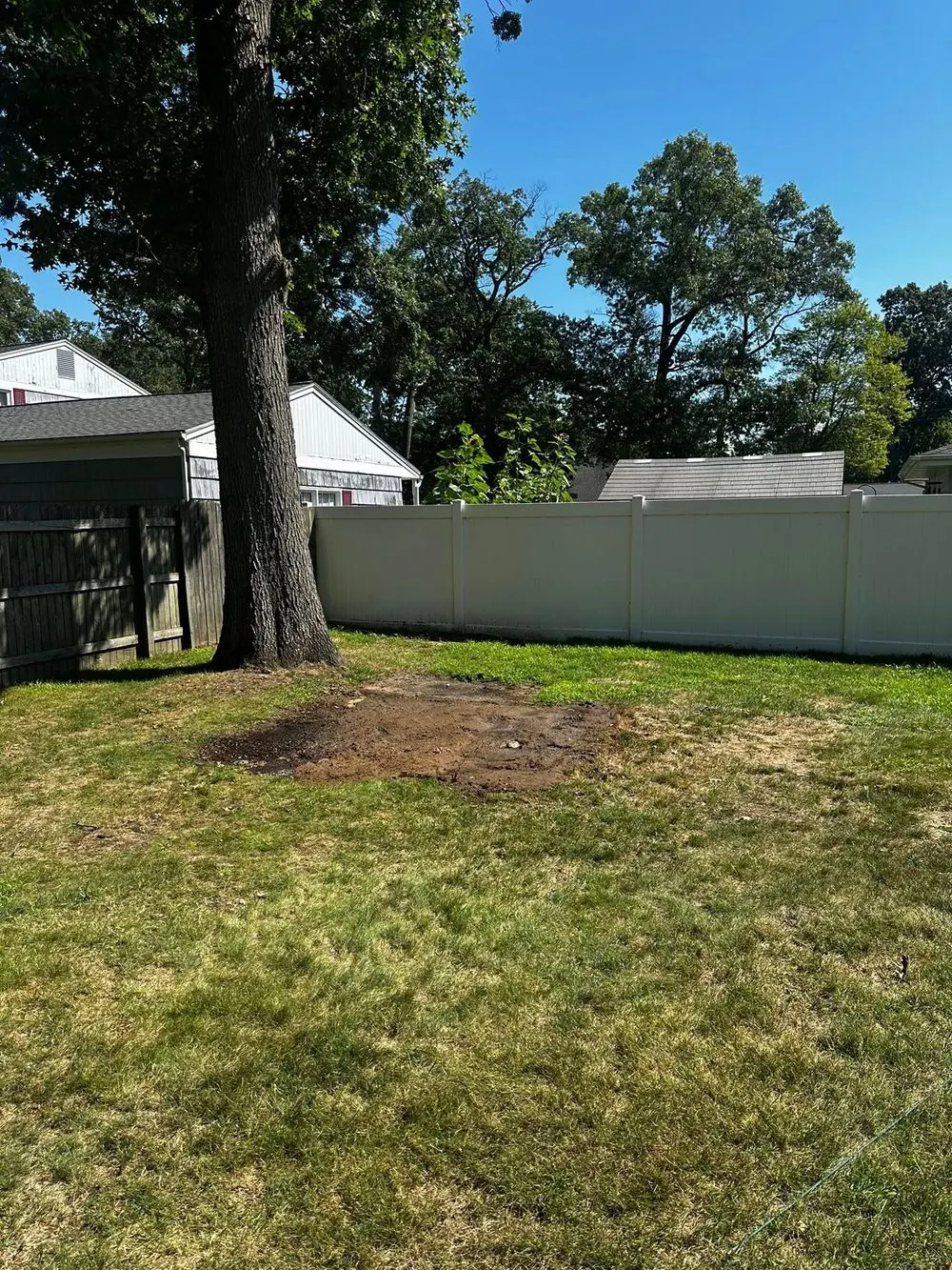 After shed removal — reference photo published by Dad’s Disposal