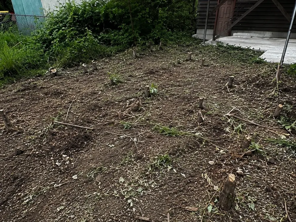 After shed removal — reference photo published by Flying Flamingo Junk Removal