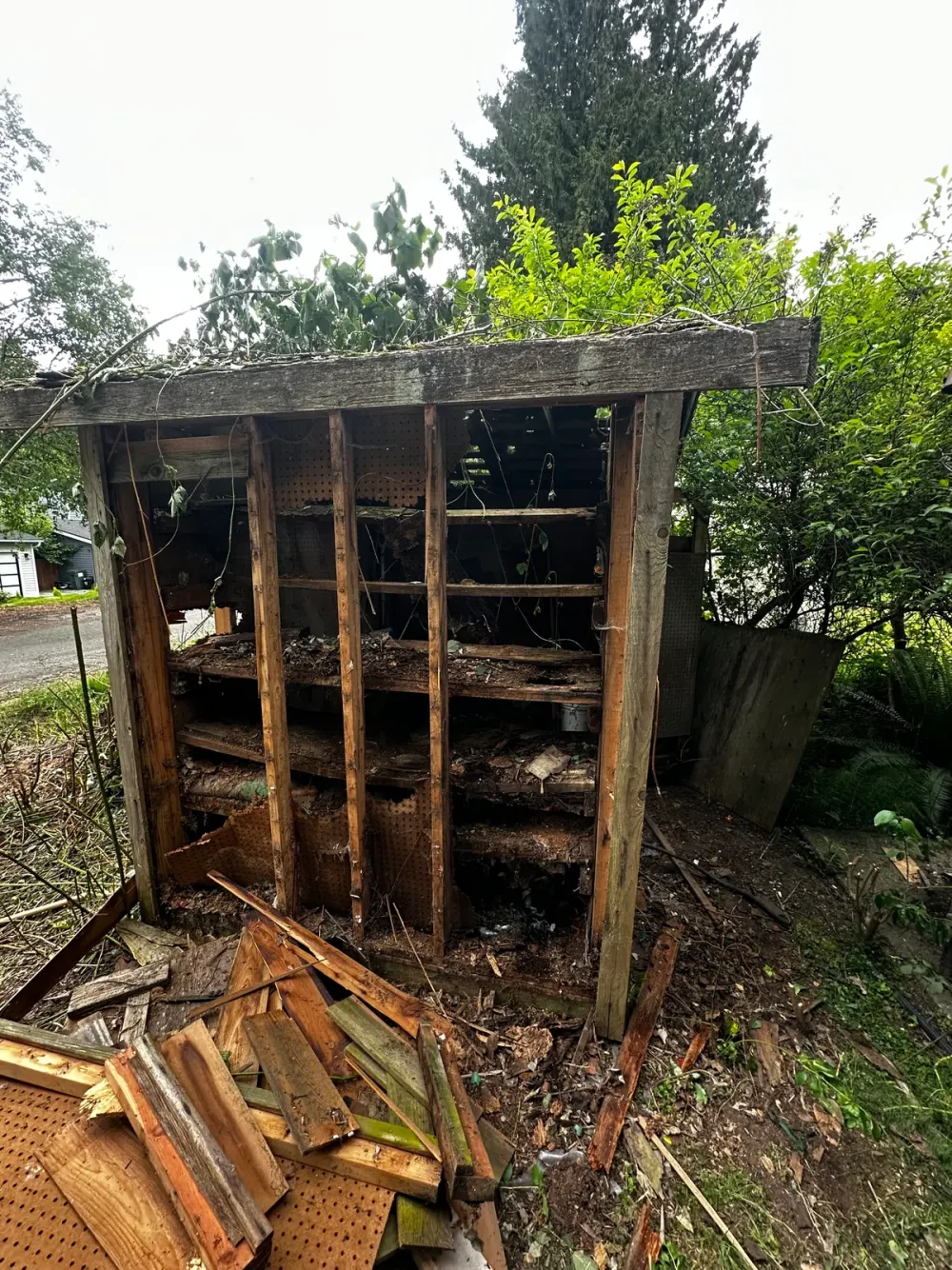An old wood shed partly dismantled: siding stripped to bare studs and rotten shelving, the roof beam still on top, and a pile of boards and pegboard in the foreground.